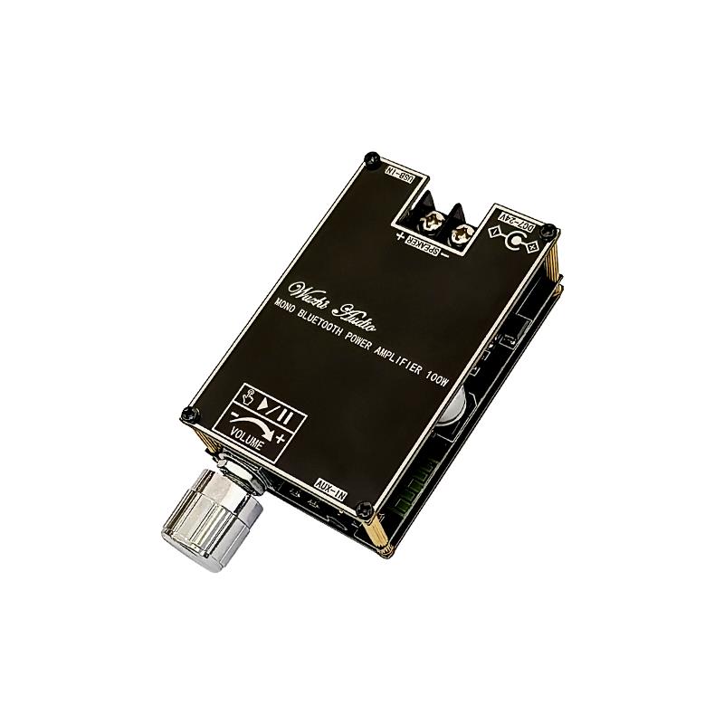 Bluetooth 5.1 TPA3116 D2 Mono  – Audio Home Cinema Bewertung und Preis