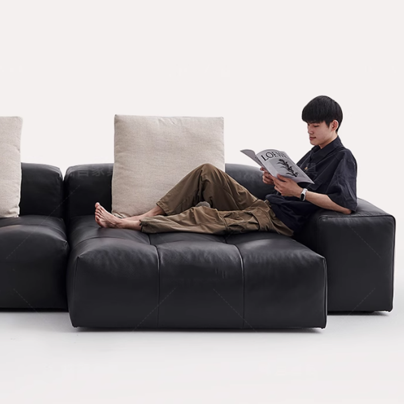 Nordic Leder Komprimiertes Sof – Home Cinema Design Bewertung und Preis
